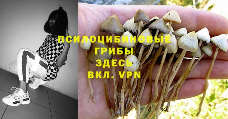 Галлюциногенные грибы Magic Shrooms  Данков 